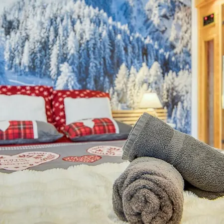 Appartement Le Montblanc