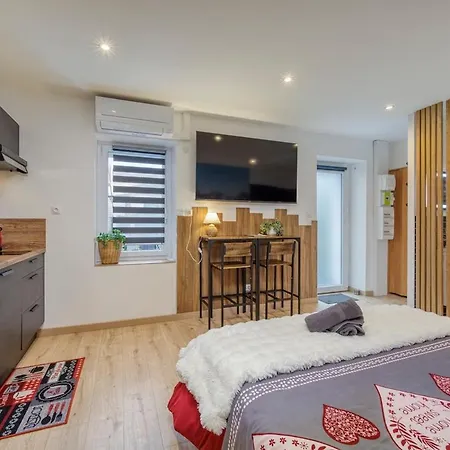 Appartement Le Montblanc Roanne